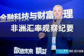 非洲汇率观察纪要